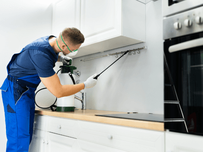 About Non-Toxic Pest Control Pros - eco friendly pest control experts in Mesa